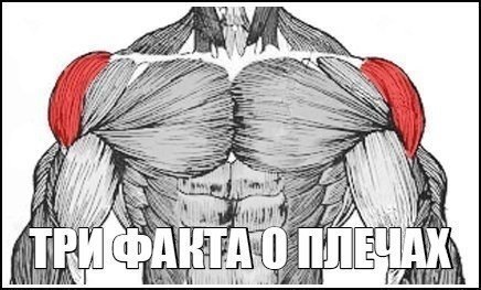 ��� ����� � ������. 1. ������������ ����� � �������� ������� � ���������� �����. ��������� ����� ...
