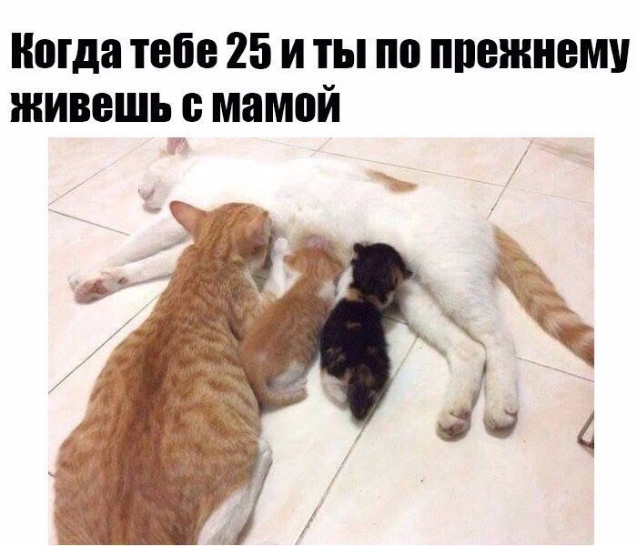   - 17  2017  18:50