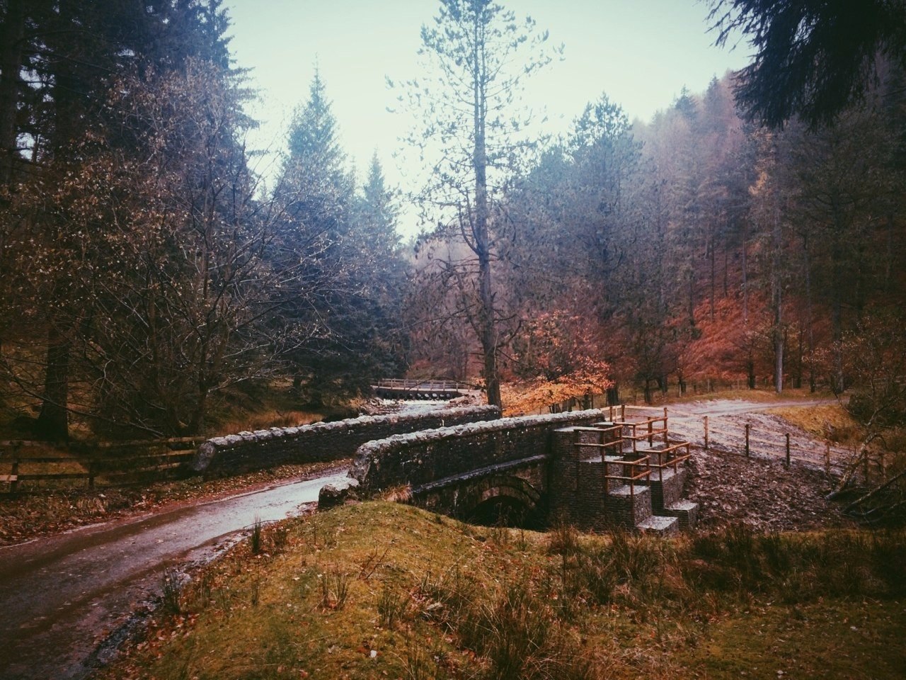   .#nature@travel.blog - 7