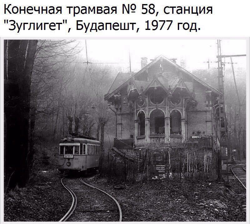 ����������� - ��� ��� �����! - 21 ������ 2017 � 00:53