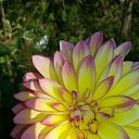 ���� Nataly, ��������� - ��������� 12 ������� 2016 � ������ ���������� ������