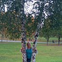 ����� 2016 �� ������� ���� ����������