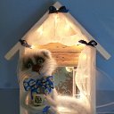 ���� ������, ��������, 48 ��� - ��������� 28 ����� 2017 � ������ ������ ��������