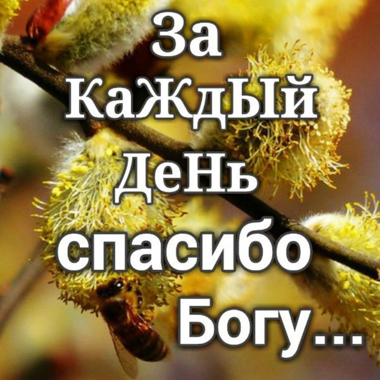 .https://fotostrana.ru/away?to=/sl/kxC2 - 3  2016  05:47