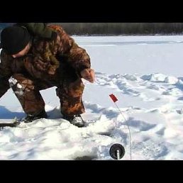 �����, �����, 38 ���