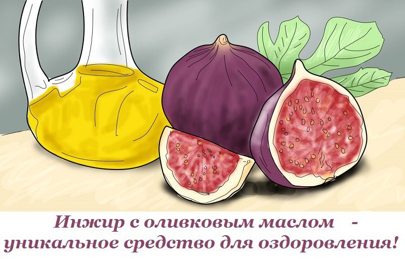 Смешай инжир с оливковым маслом, и ты получишь уникальное средство для оздоровления! Мне всегда ...