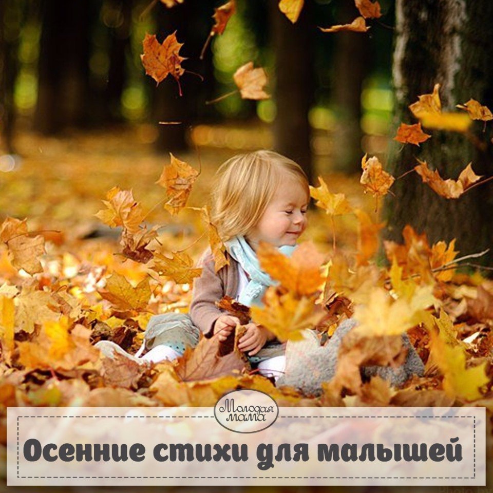 ОСЕННИЕ СТИХИ ДЛЯ МАЛЫШЕЙ. Осень, осень, не спеши И с дождями подожди. Дай еще нам лета, Солнышка и ...