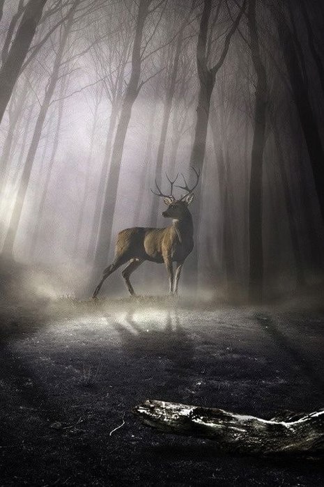 ))).� �� ����� ����-�� ����������?� ���. � ����� � ������� � ����� ��� ���������� ��� ����� ...