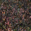 ���� �����, ����� ������� - ��������� 23 ������� 2016 � ������ ������� ����Ȼ