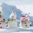 ���� Tina*, �������, 55 ��� - ��������� 19 ������ 2016 � ������ �����