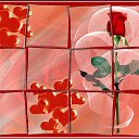 ���� ����, ������������, 58 ��� - ��������� 21 ������� 2016 � ������ ������ ��������