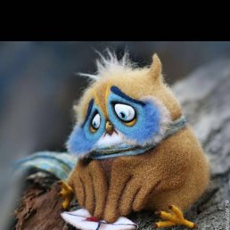 ���� ����, ������, 38 ��� - ��������� 30 ������� 2016