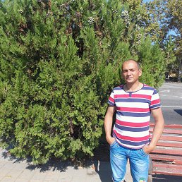 �������, ���������, 45 ���