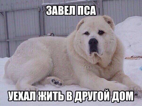 ��� �������� �������� - 11 �������� 2016 � 13:12