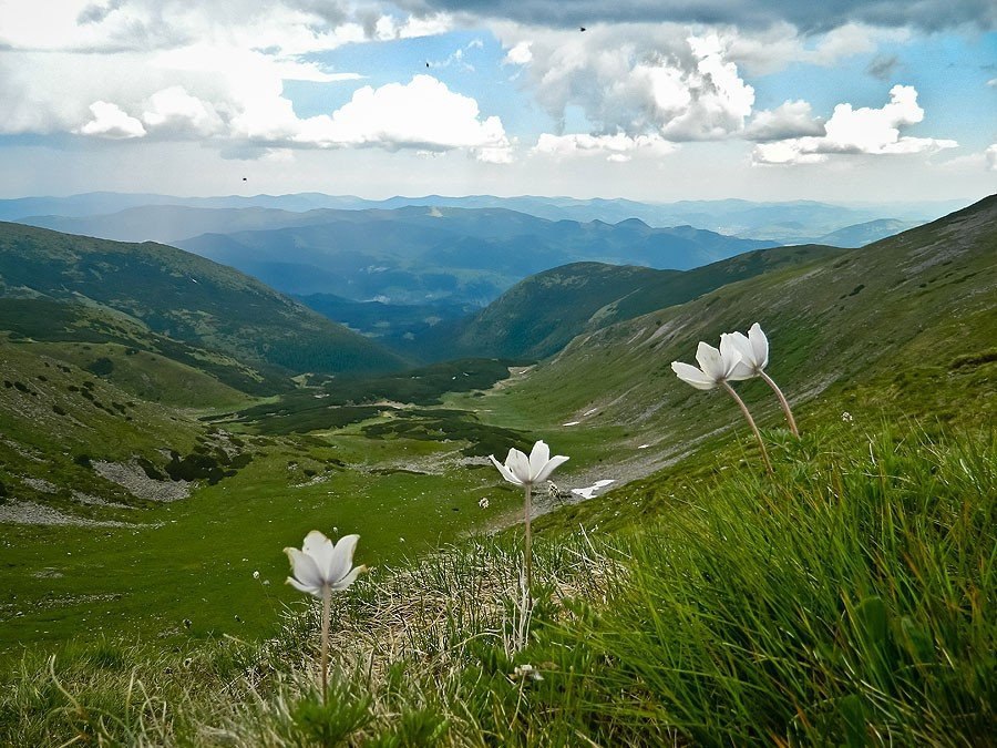 Карпаты путешествия