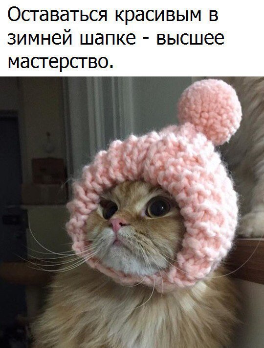       - 23  2017  11:41