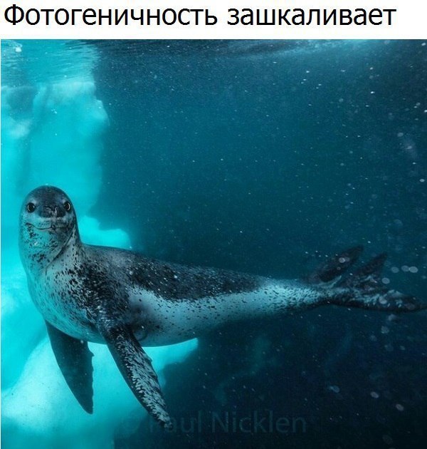 ����� �������� - 13 ����� 2017 � 00:33