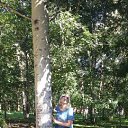 ���� �������, �����������-��-����� - ��������� 15 ������ 2017 � ������ ���� ����������