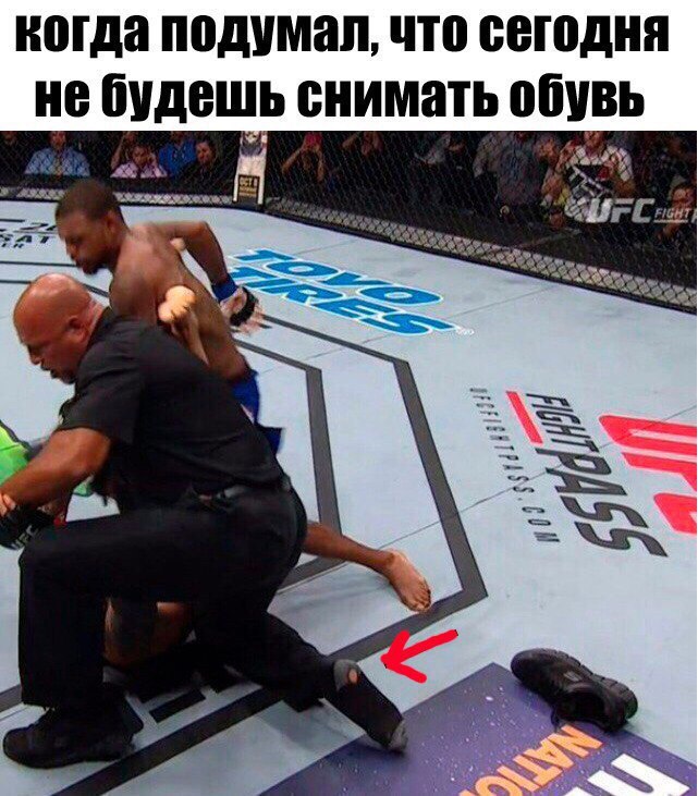     - 6  2016  11:54