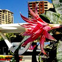  ,  -  20  2016        ͻ