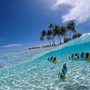 ���� Alex261163, ��������, 62 ���� - ��������� 20 ������� 2016 � ������ ���� ����������