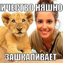 ���� ��������, ������, 69 ��� - ��������� 25 ����� 2017 � ������ ���� ����������