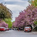���� Andre, �������, 52 ���� - ��������� 23 ������� 2016 � ������ ���� ����������