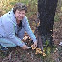 ���� �����, ������ - ��������� 29 ������ 2016 � ������ ���� ����������