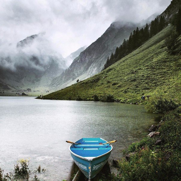 �� ������� ��������� � �������� ����� � ��������� ������. ������� ��������� � ������ ������ ��� ...