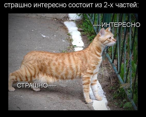  - 19  2016  20:56