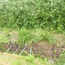 ���� ������, ������� - ��������� 25 ������� 2016 � ������ ���� ����������