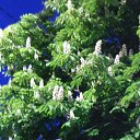 ���� ����, �����, 60 ��� - ��������� 15 ������� 2016 � ������ ������ ��������