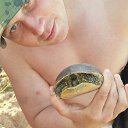 ���� �����, ���������, 37 ��� - ��������� 3 ����� 2017 � ������ ���� ����������