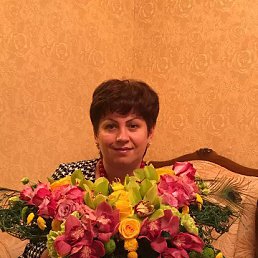 ���� ���, ������������, 49 ��� - ��������� 4 ������� 2017