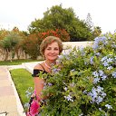 ���� ���������, �����-��������� - ��������� 10 ������� 2016 � ������ ������, ������� 2016�