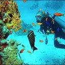 ���� ������, ������ - ��������� 23 ������� 2016 � ������ ����� ��� �������