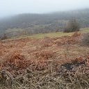  ,  -  15  2017              70     ӻ