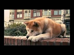 :) Hachiko A Dog's Story Music Video From Movie