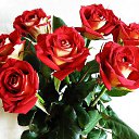 ���� @...������ �����***, �������� - ��������� 5 ������� 2017 � ������ ������ ��������