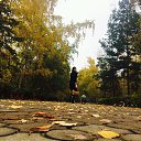 ���� �����, �������������, 47 ��� - ��������� 2 ������� 2016 � ������ ���� ����������