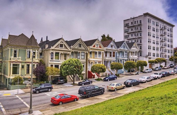    -     Painted Ladies - 4