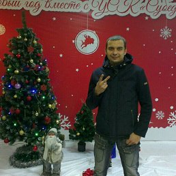 ������, ����������, 36 ���