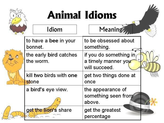 Animal Idioms - 3