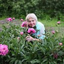  , -, 65  -  15  2017    