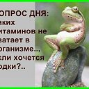 ���� ��������, ���������� - ��������� 3 ������ 2017 � ������ ���� ����������