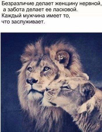 � ���� ���� - 25 ������� 2017 � 01:15