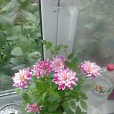 ���� ������, �����, 58 ��� - ��������� 26 �������� 2016 � ������ ������ ��������