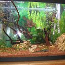 ���� �������, ����-���, 59 ��� - ��������� 2 ������� 2017 � ������ ������ ��������