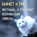 ���� ����� ������, ���������, 43 ���� - ��������� 21 ������� 2017 � ������ ���� ����������