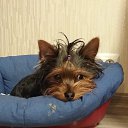 ���� ��������, �����-���������, 52 ���� - ��������� 8 ������ 2016 � ������ �2016�